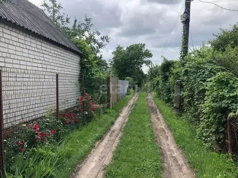 Дом в Воронежская область, Воронеж Кировец СНТ, 431 (30 м)