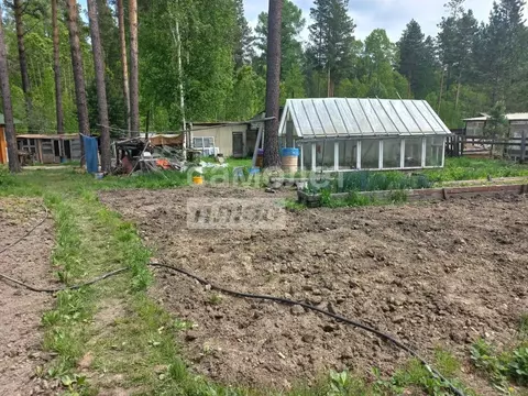 Участок в Иркутская область, Иркутский муниципальный округ, Лотос СНТ  ...