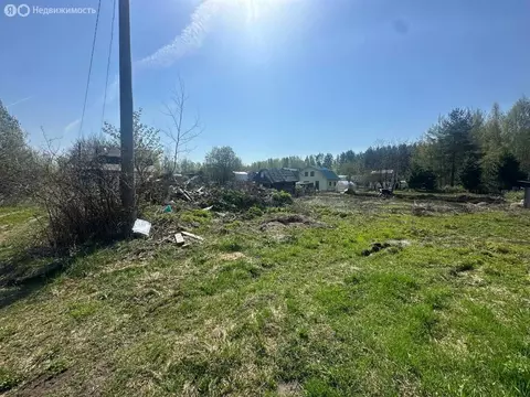 Участок в Нижегородская область, Бор (5 м)