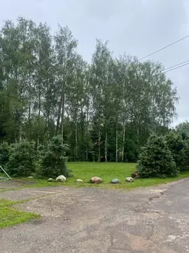 Участок в Московская область, Истра муниципальный округ, д. Алехново  ...
