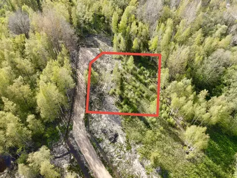 Участок в Ленинградская область, Ломоносовский район, Оржицкое с/пос, ...