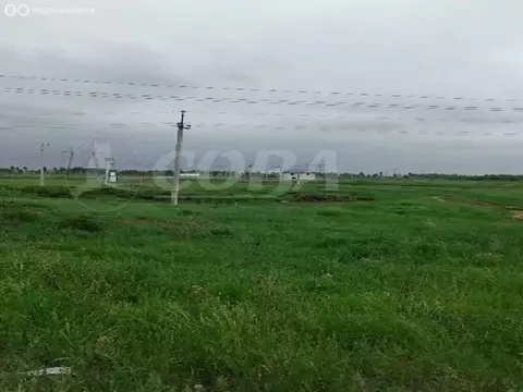 Участок в Тюмень, Центральный округ (8 м)