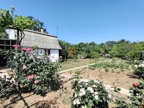 Участок в Севастополь Скиф садоводческое товарищество, 221 (8.0 сот.)