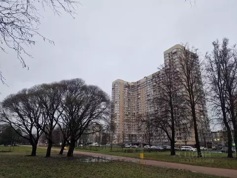 1-к кв. Санкт-Петербург просп. Луначарского, 78к5 (31.1 м)