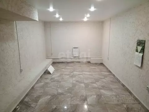 Помещение свободного назначения в Ставропольский край, Ставрополь ул. ...