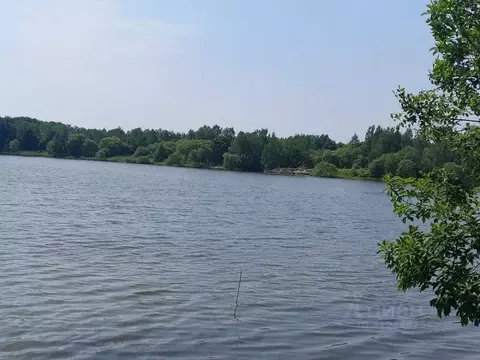 Участок в Хабаровский край, Хабаровский район, Тополевское с/пос, с. ...