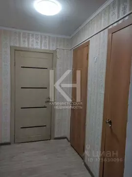 Студия Калининградская область, Зеленоградск ул. Крылова, 5 (20.0 м)