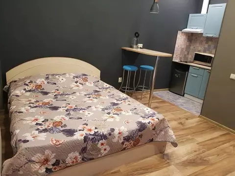 Студия Ленинградская область, Выборг просп. Ленина, 8 (25.0 м)