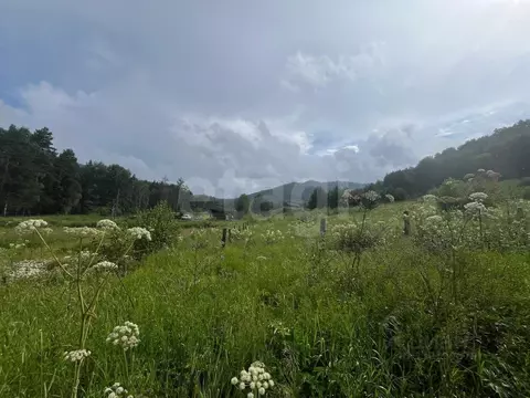 Участок в Алтай, Майминский район, Манжерокское с/пос, с. Озерное ул. ...