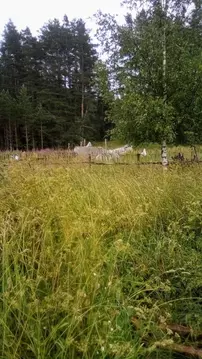 Участок в Новгородская область, Валдайский район, Едровское с/пос, д. ...