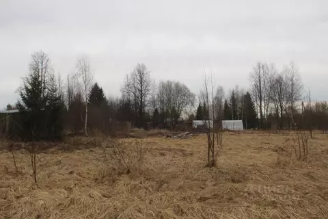 Участок в Московская область, Шаховская муниципальный округ, д. ...