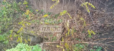 Участок в Курская область, Золотухинский район, Тазовский сельсовет, ...