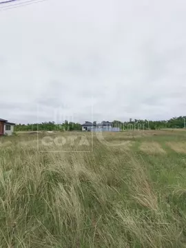 Участок в Воронежская область, Новоусманский район, Отрадненское ...