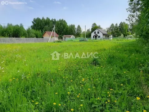 Участок в Вологодская область, Усть-Кубинский муниципальный округ, ...