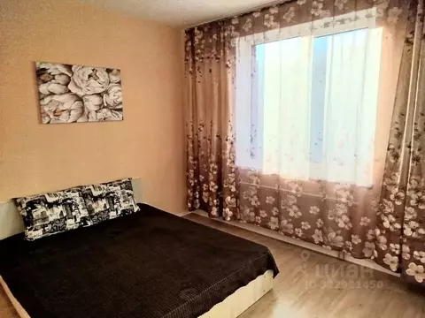 Студия Московская область, Истра муниципальный округ, д. Черная ул. ...