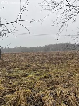 Участок в Московская область, городской округ Пушкинский, деревня ...