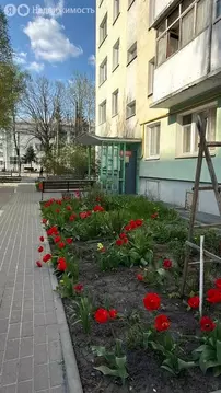 2-комнатная квартира: Белгород, улица Железнякова, 7 (45.7 м)
