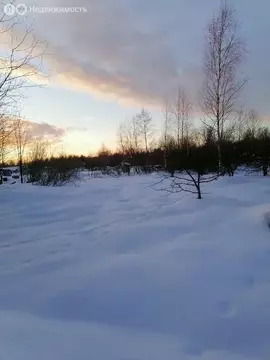 Участок в Ермолинское сельское поселение (1595 м)