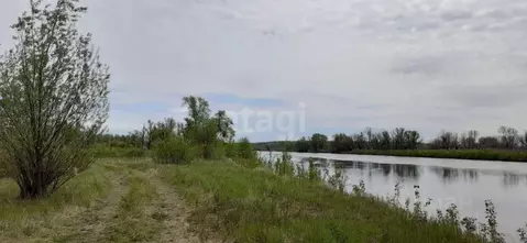 Участок в Тюменская область, Тюменский район, с. Борки  (20.0 сот.)