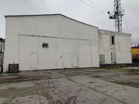 Помещение свободного назначения в Ямало-Ненецкий АО, Новый Уренгой ул. ...