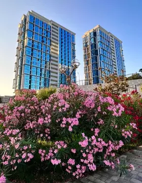 1-к кв. Краснодарский край, Сочи Бытха мкр, ул. Ясногорская, 16/6к2 ...