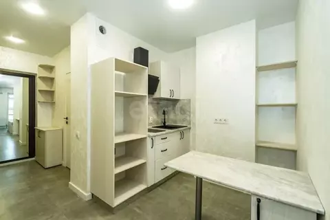 Студия Ростовская область, Ростов-на-Дону Красноармейская ул., ...