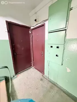 2-комнатная квартира: село Новосысоевка, улица 3-я Площадка, 206 (42.8 ...