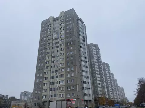 2-к кв. Санкт-Петербург ул. Димитрова, 43 (61.6 м)