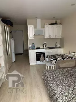 Студия Московская область, Ленинский городской округ, Лопатино пгт ул. ...