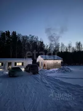 Участок в Свердловская область, Тугулымский городской округ, д. Гурина ...