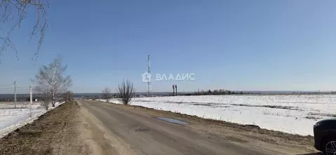 Участок в Воронежская область, Рамонский район, Новоживотинновское ...