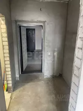 Студия Амурская область, Благовещенский район, с. Чигири ул. ...