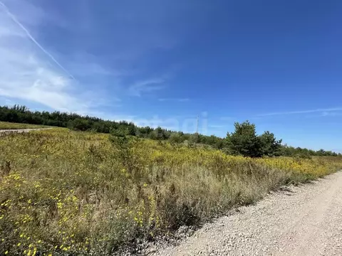 Участок в Татарстан, Казань Лесные Холмы жилмассив,  (10.0 сот.)