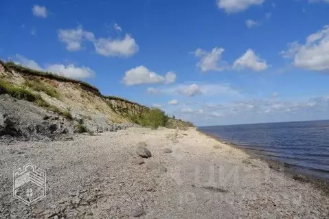 Участок в Новгородская область, Старорусский район, Наговское с/пос, ...