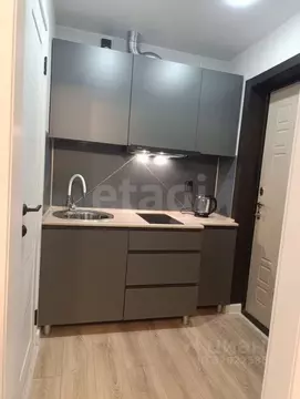 Студия Воронежская область, Воронеж Краснознаменная ул., 14 (16.8 м)