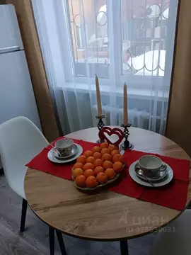 1-к кв. Омская область, Омск Омская ул., 109 (42.1 м)