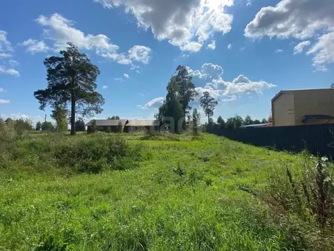 Участок в Новосибирская область, Ордынский район, с. Спирино  (36.2 ...