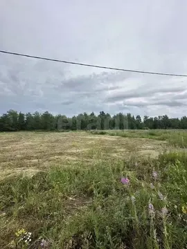 Участок в Тюменская область, Тюменский муниципальный округ, д. ...