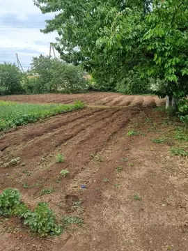 Участок в Крым, Сакский район, с. Крымское  (8.07 сот.)