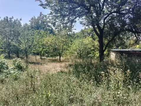 Дом в Ставропольский край, Изобильненский муниципальный округ, с. ...