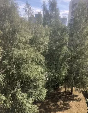 Комната Ленинградская область, Сосновый Бор ул. Красных Фортов, 13