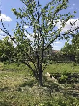 Дом в Тюменская область, Тюмень Электрон СНТ, ул. Серебряная (40 м)