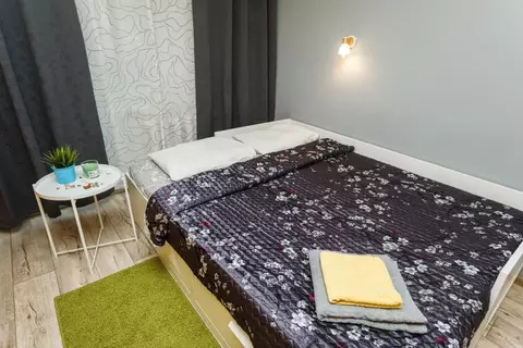 1-к кв. Свердловская область, Екатеринбург пер. Красный, 4А (30.0 м)