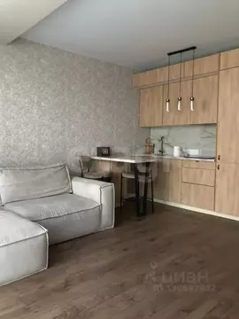 Студия Санкт-Петербург Планерная ул., 91к1 (21.2 м)