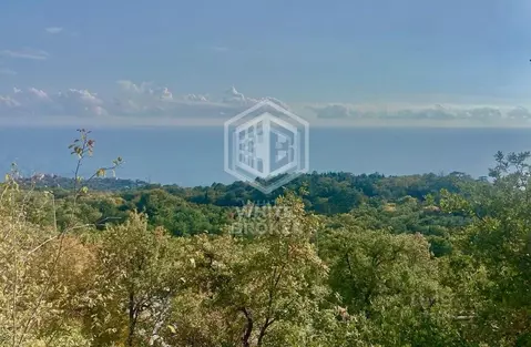 Участок в Крым, Ялта муниципальный округ, Гаспра пгт ш. ...