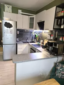 2-к кв. Санкт-Петербург ул. Ворошилова, 29к2 (62.6 м)