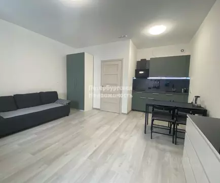 Студия Санкт-Петербург ул. Ультрамариновая, 8 (29.3 м)