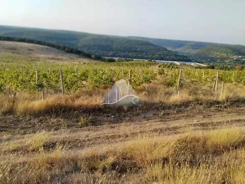 Участок в Севастополь с. Верхнесадовое, ул. Севастопольская, 1 (3.5 ...