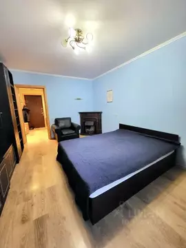 1-к кв. Санкт-Петербург ул. Сикейроса, 11к1 (42.3 м)