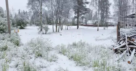 Участок в Ленинградская область, Приозерский район, Громовское с/пос, ...